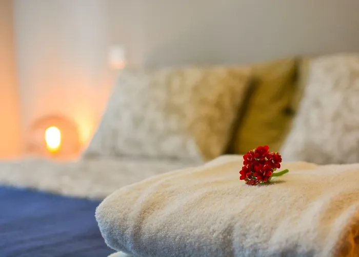 Cozy House Appartement